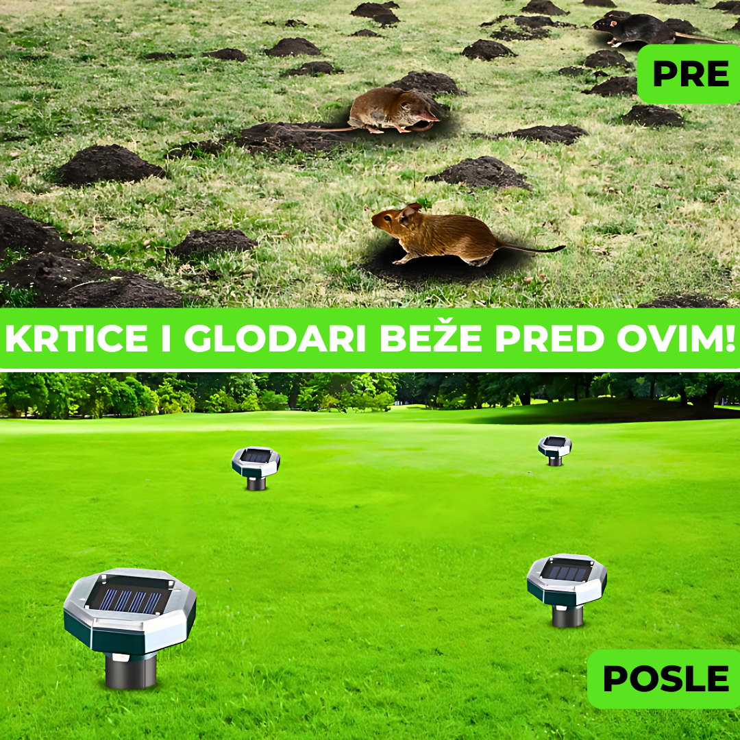Solarni rasterivač krtica, livada pre i posle korišćenja ovog proizvoda. Na slici bez solarnog rasterivača možemo videti da ima mnogo krtičnjaka, dok ih na drugoj slici nema.